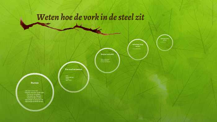 Weten hoe de vork in de steel zit by Roos Mulder on Prezi
