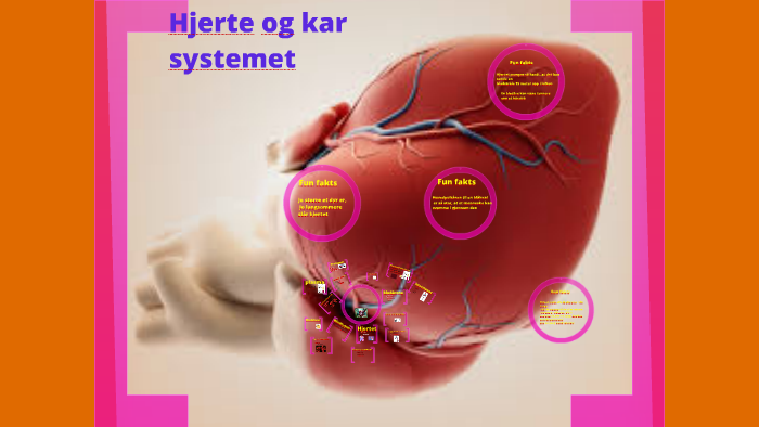 Hjerte-kar system by Geir Sekkeseter on Prezi