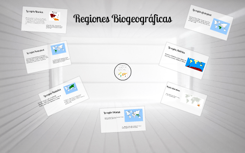 Regiones Biogeograficas by Yazmin Castillo Pineda