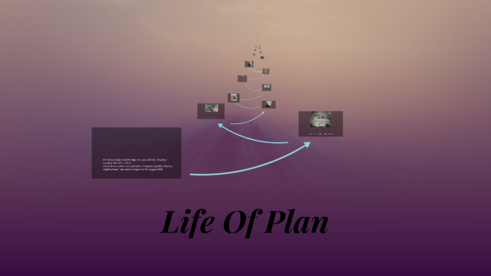 Proyecto De Vida by Andres Cardona on Prezi