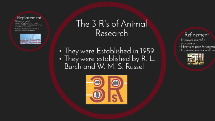 The 3 R's of Animal Research by Stephanie Brasier on Prezi