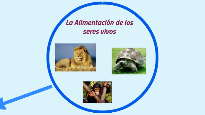 La Alimentacion De Los Seres Vivos By Escuela 20 De 10 On Prezi 5124