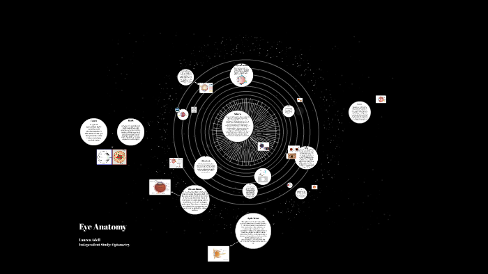 Eye Anatomy by on Prezi