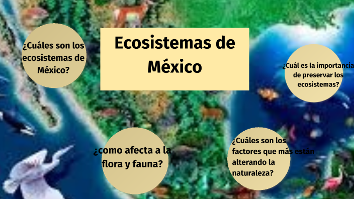 los diversos ecosistemas en México y los factores que pueden alterar a