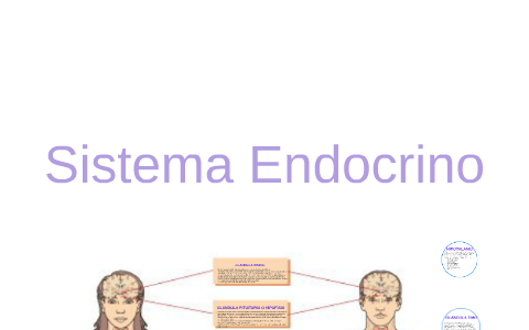 Es una pequeña glándula endocrina en el cerebro de los verte by ...