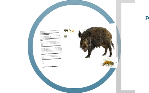 Kingdom, phylum, class, order, family, genus, species by Gharshy Narsh