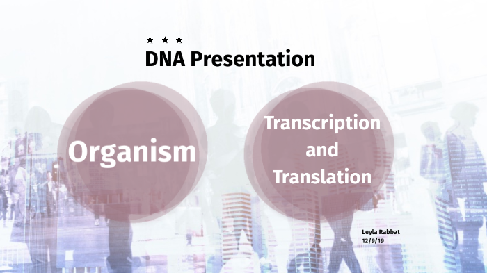DNA Presentation by Leyla Rabbat on Prezi