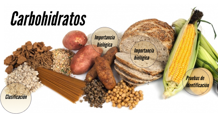 Carbohidratos By Sabrina Pachón On Prezi