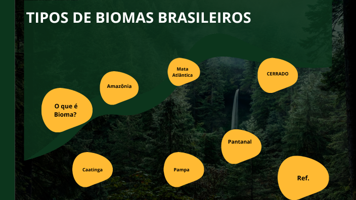 tipos de Bioma Brasileiros by maria camila cavalcanti on Prezi