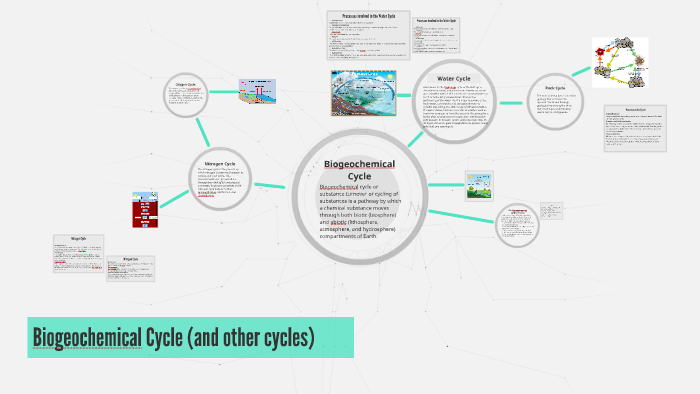 Biogeochemical Cycle (and other cycles) by Thij Gacura on Prezi