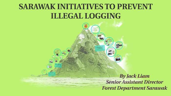 Sarawak Initiatives To Prevent Illegal Logging By Jack Liam Forest Department Sarawak By Shilya Zamani