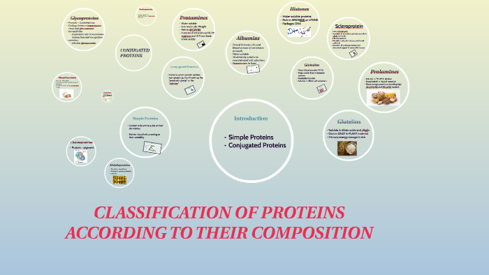 CLASSIFICATION OF PROTEINS ACCORDING TO THEIR COMPOSITION by Patrick ...