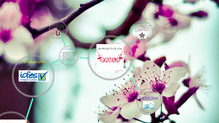 MI PROYECTO DE VIDA by paula polo on Prezi