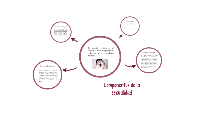 Componentes de la sexualidad by Natalia Smith Suárez Cabanilla on Prezi