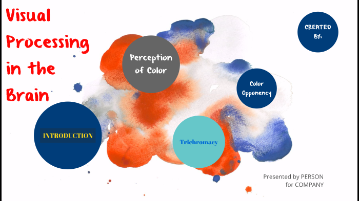 Visual Processing in The Brain by Hannahjane Frost on Prezi