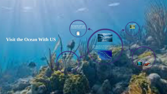 the water cycle in the great barrier reef by melissa sosa on Prezi