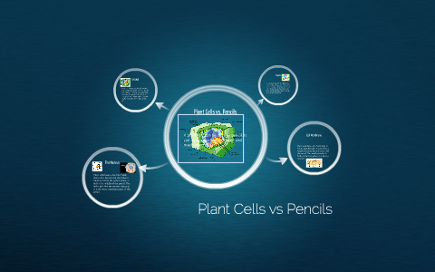 Plant Cells vs Pencils by Naomi L on Prezi