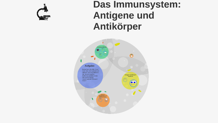 Das Immunsystem Antigene Und Antikörper By Jonas