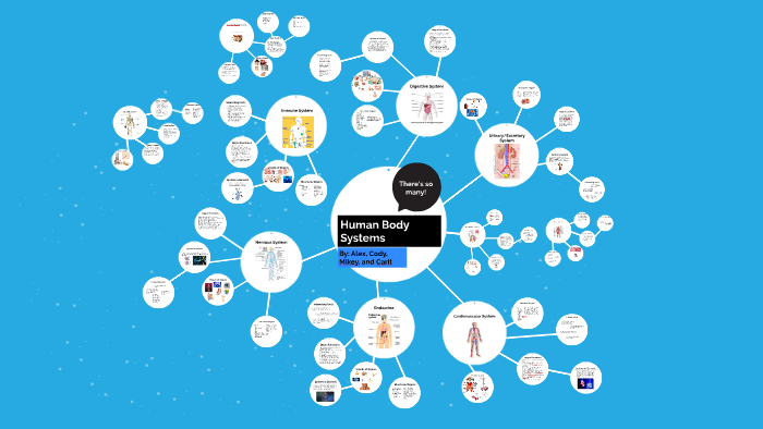 Human Body Systems by Alex Tuckey on Prezi