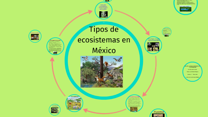 Tipos de ecosistemas en México by Anali Morales on Prezi