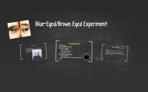 blue eyed experiment unterricht