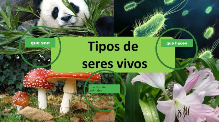 seres vivos by carlos rivera on Prezi