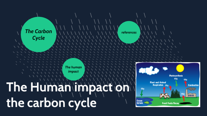 The human impact on the carbon cycle by lewis georgaras on Prezi