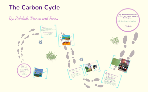 the Carbon Cycle by Jenna Howell on Prezi