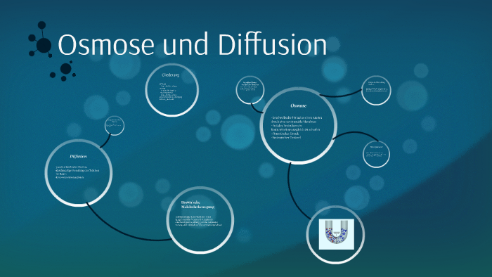 Unterschied Zwischen Osmose Und Diffusion Osmose und Diffusion by Marcel Ehlers on Prezi
