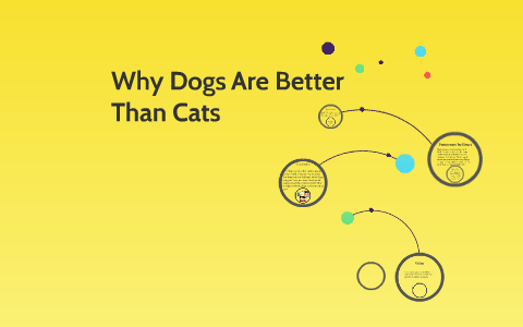 why are dogs better than cats essay