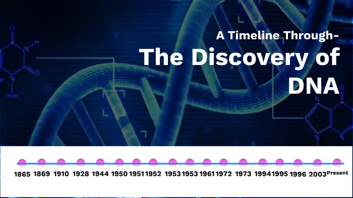 The Timeline of DNA by amyz3250 amyz3250 on Prezi