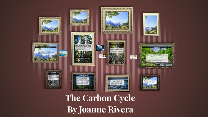 The Carbon Cycle by Joanne Rivera on Prezi
