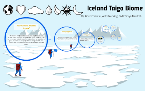 Iceland Taiga Biome by Aidan Couturier on Prezi