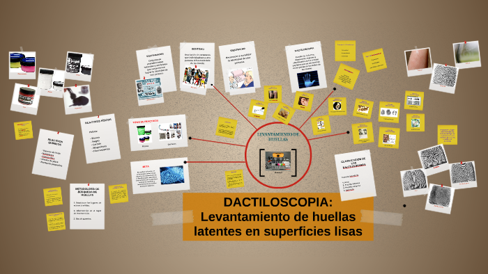 Dactiloscopia Levantamiento De Huellas Latentes En Superfic By Karen Dactiloscopia Levantamiento De Huellas Latentes En Superfic By Karen