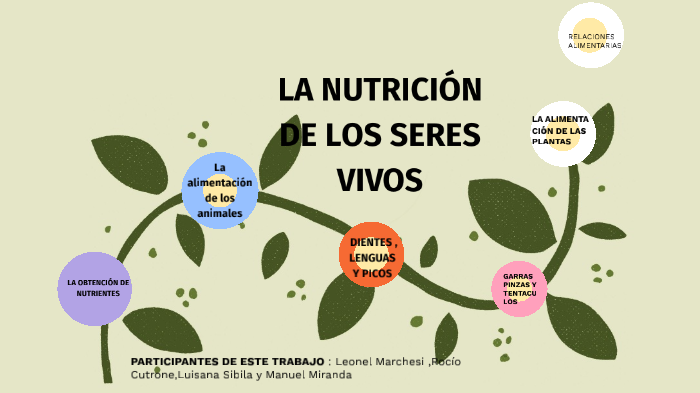 Nutricion De Los Seres Vivos