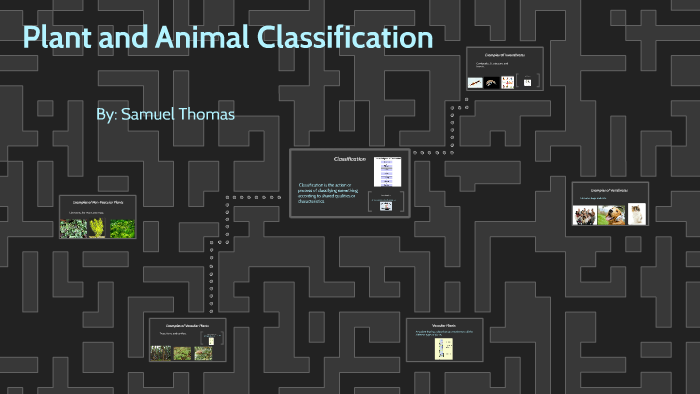 Plant And Animal Classification By Samuel Thomas On Prezi