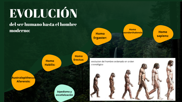 eje cronológico de la evolución del hombre by Diego Hurtado Rando on Prezi