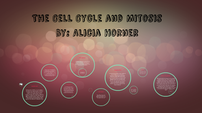 The Cell Cycle and Mitosis by Alicia Horner on Prezi
