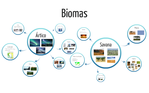 Biomas by Danilo Liguili on Prezi