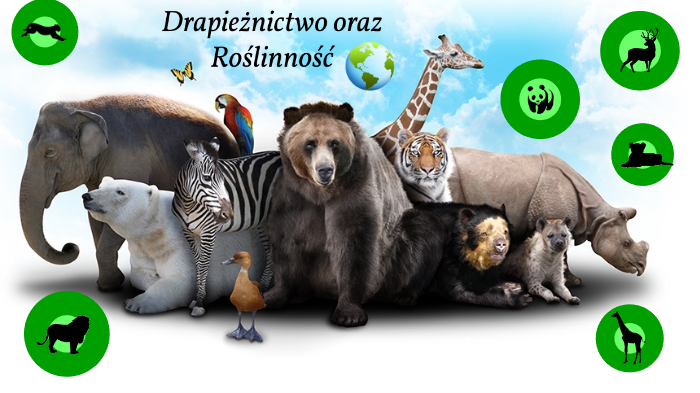 Drapieżnictwo. Roślinożerność by Ola Rześniowiecka on Prezi