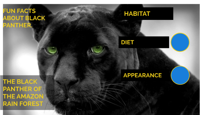 Black panther, Facts, Habitat, & Diet