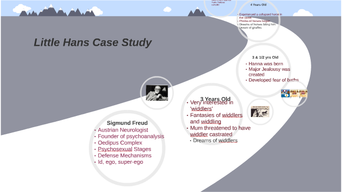 evaluate the case study of little hans