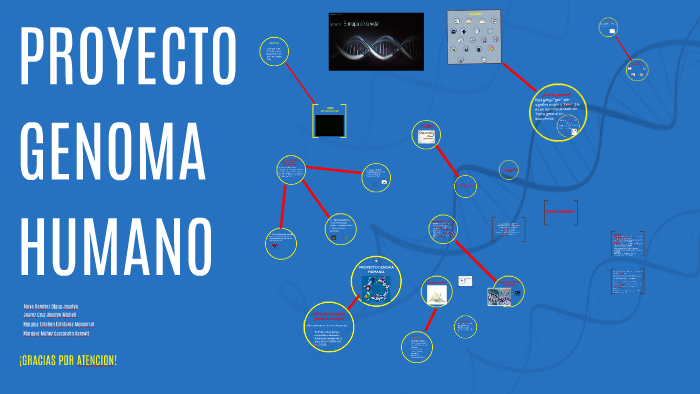 PROYECTO GENOMA HUMANO By Diana Joselyn Aloyo Ramirez