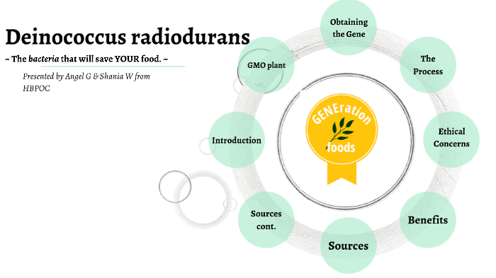 Deinococcus radiodurans - an overview