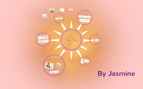 Stem Cells by Jasmine Ali on Prezi