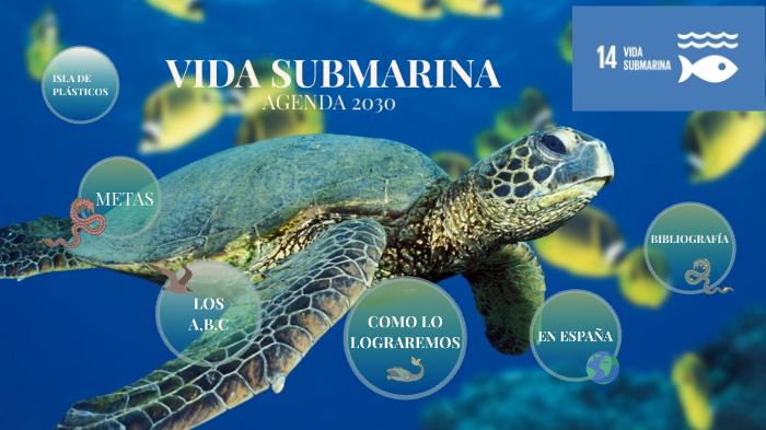 vida submarina AGENDA 2030 by Carolina Muñiz Dos Santos