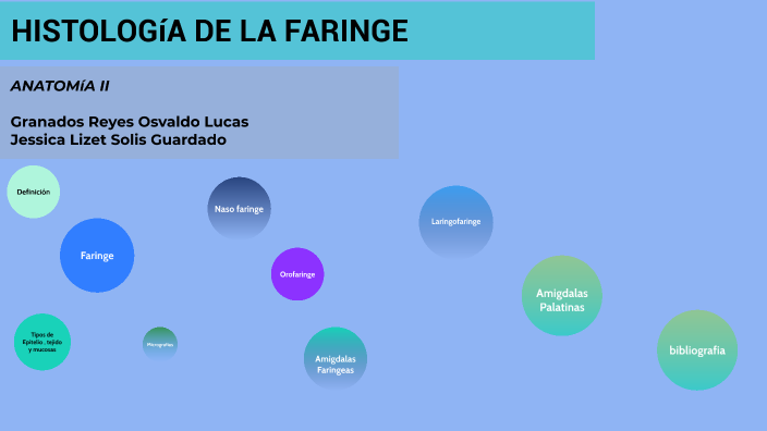 histología de las amígdalas faríngeas