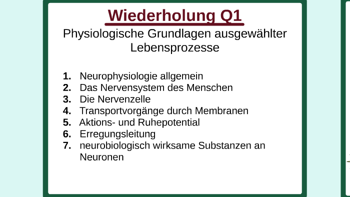 Neurophysiologie by Michel Röver