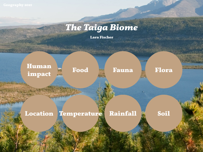 Flora - Taiga Biome