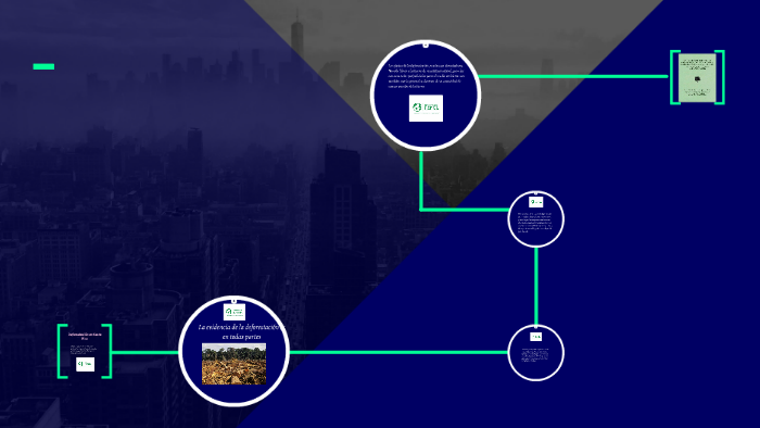 Deforestación en Costa Rica by alejandra sanchez